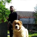 ���������� �������, ���� ������� ���, 34 ����, ������������ ��� ������, ����� � ���������