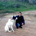 ���������� �������, ���� ������� Valeri, 47 ���, ������������ ��� ������, ����� � ���������, c�������� ���������