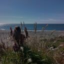 ���������� �������, ���� ������� Vasilina, 28 ���, ������������ ��� ������, ����� � ���������