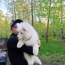  ,   Fox, 39 ,   ,   , c , 