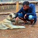  Alanya,   , 41 ,   ,   , c , 