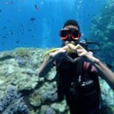 ���������� �������, ���� ������� �����, 33 ����, ������������ ��� ������, ����� � ���������, c�������� ���������