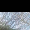 ���������� �������, ���� ������� ����, 31 ���, ������������ ��� ������, ����� � ���������, c�������� ���������