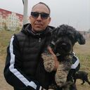  ,   , 51 ,   ,   
