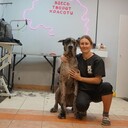 ���������� �������, ���� ������� �����, 43 ����, ������������ ��� c�������� ���������