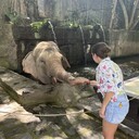 ���������� ������, ���� ������� ������, 37 ���, ������������ 