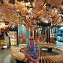  ,   , 56 ,   ,   , c 