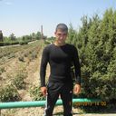  ,   Hay txa, 33 ,   