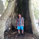  ,   , 45 ,   ,   
