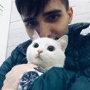 ���������� ��������, ���� ������� ������, 33 ����, ������������ ��� ������, ����� � ���������, c�������� ���������, ���������