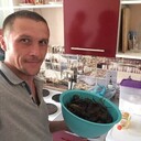 ���������� ���������, ���� ������� ���������, 37 ���, ������������ ��� ������, ����� � ���������