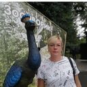 ���������� ���������, ���� ������� �����, 50 ���, ������������ ��� ������, ����� � ���������