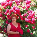  ,   , 72 ,  