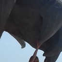  ,   , 49 ,   c 