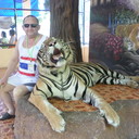  ,   , 52 ,   