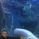 ���������� �������, ���� ������� ��������, 40 ���, ������������ ��� ������, ����� � ���������, c�������� ���������