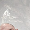 ���������� �������, ���� ������� ���, 34 ����, ������������ ��� ������