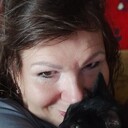 ,   , 54 ,  