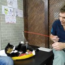 ���������� ������, ���� ������� �������, 34 ����, ������������ ��� ������, ����� � ���������, c�������� ���������