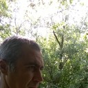  ,   , 51 ,   