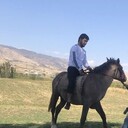 ���������� ������, ���� ������� ������, 31 ���, ������������ ��� ������, ����� � ���������, c�������� ���������, ���������