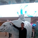 ���������� �������, ���� ������� ������, 52 ����, ������������ ��� ������, ����� � ���������, c�������� ���������