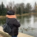 ���������� �����, ���� ������� �����, 29 ���, ������������ ��� ����� � ���������, c�������� ���������, ���������