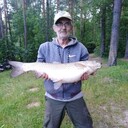  ,   , 65 ,   ,   , c , 