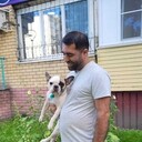 ���������� ������ ��������, ���� ������� ����, 36 ���, ������������ ��� ������, ����� � ���������