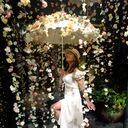 ���������� �����������, ���� ������� ����, 34 ����, ������������ ��� ����� � ���������, c�������� ���������