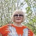 ���������� �����������, ���� ������� �������, 66 ���, ������������ ��� c�������� ���������