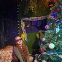 ���������� ���������, ���� ������� Anastasia, 23 ����, ������������ 