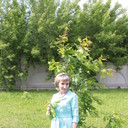  ,   , 52 ,     , c 