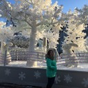 ���������� ������, ���� ������� �����, 28 ���, ������������ ��� ������, ����� � ���������, c�������� ���������