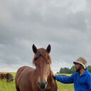 ���������� ������, ���� ������� ������, 31 ���, ������������ ��� ������, ����� � ���������