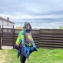 ���������� �����-���������, ���� ������� Ը���, 35 ���, ������������ ��� ������, ����� � ���������