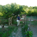 ���������� ������, ���� ������� ������, 62 ����, ������������ ��� c�������� ���������