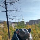 ���������� ����������, ���� ������� �������, 44 ����, ������������ ��� ������, ����� � ���������, c�������� ���������, ���������