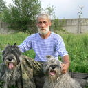  ,   , 73 ,   ,   , c , 