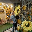 ���������� �����, ���� ������� ����, 34 ����, ������������ ��� ������, ����� � ���������