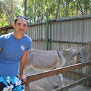 ���������� ������, ���� ������� �����, 40 ���, ������������ ��� ������, ����� � ���������, c�������� ���������