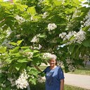 ���������� ���������, ���� ������� ���������, 58 ���, ������������ ��� c�������� ���������