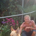 ���������� ��������, ���� ������� ����, 51 ���, ������������ ��� ������, ����� � ���������, c�������� ���������, ���������