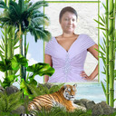  --,   , 60 ,   ,   , c 