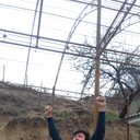 ���������� ���, ���� ������� ������, 31 ���, ������������ ��� ������, ����� � ���������, c�������� ���������