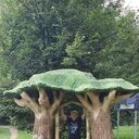 ���������� �����-���������, ���� ������� ��������, 44 ����, ������������ ��� ������, ����� � ���������