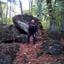 ���������� �������, ���� ������� ��������, 71 ���, ������������ 