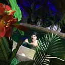 ���������� ����������, ���� ������� ������, 40 ���, ������������ ��� ������