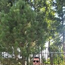  ,   Veli, 37 ,   ,   , 
