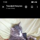 ���������� ���������, ���� ������� �������, 45 ���, ������������ ��� ������, ����� � ���������, c�������� ���������